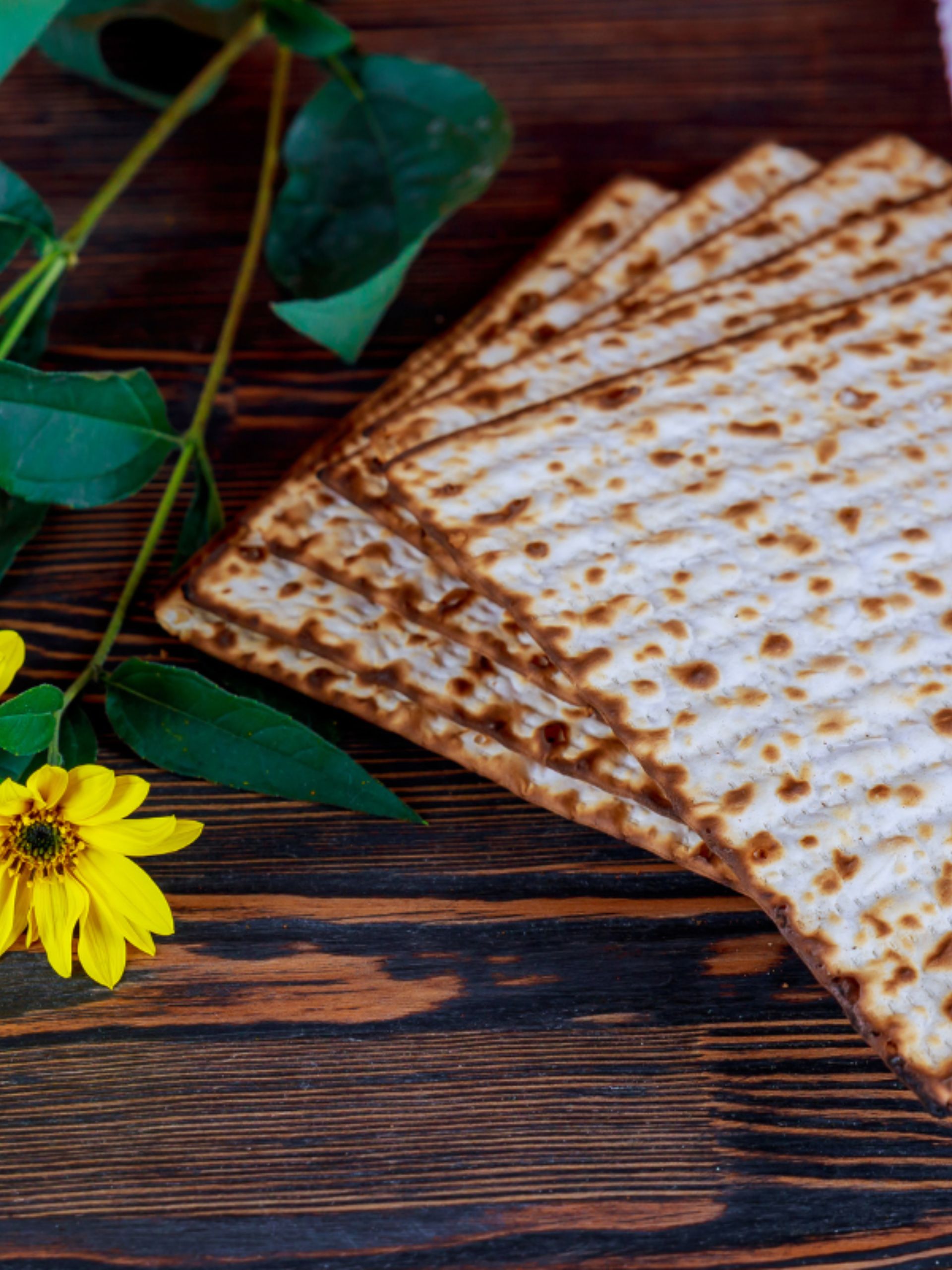 Replace Bread During Passover